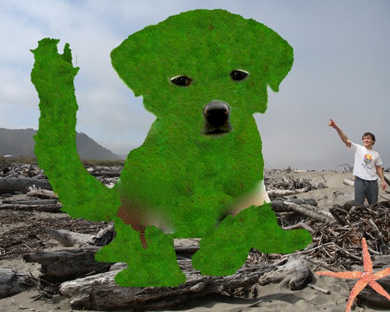 Photoshop User: Evolutionary Animal